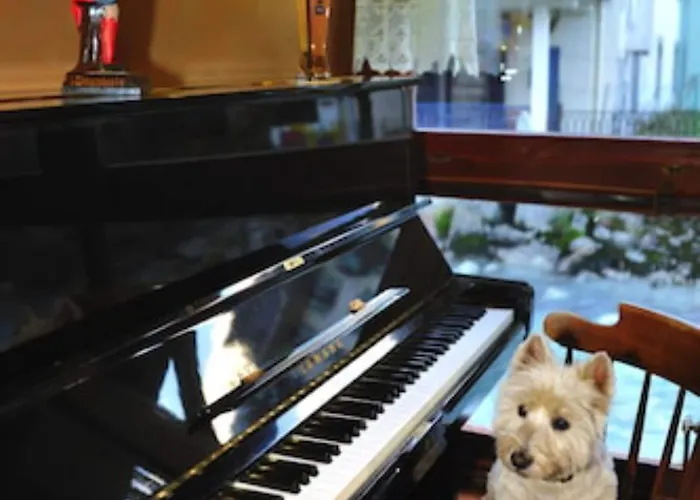 Vallee Blanche Chamonix